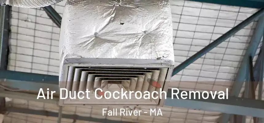 Air Duct Cockroach Removal Fall River - MA
