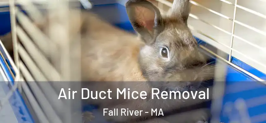 Air Duct Mice Removal Fall River - MA
