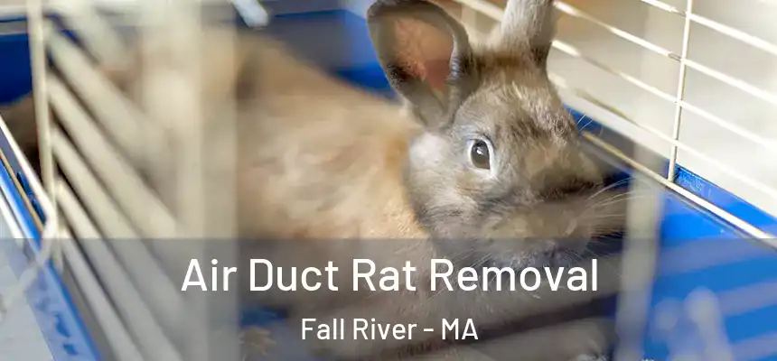  Air Duct Rat Removal Fall River - MA