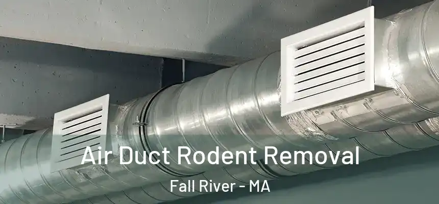 Air Duct Rodent Removal Fall River - MA
