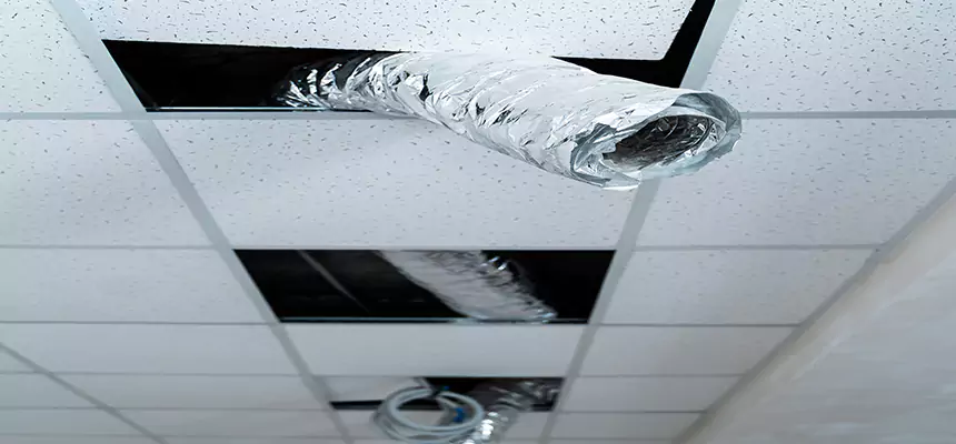 Affordable HVAC Sanitizing After Pest Removal in Fall River