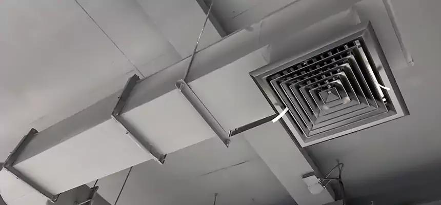 Our Pest Removal From Ducts Services in Fall River, MA