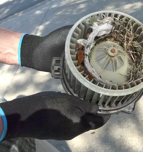 About Air Duct Rat Removal in Fall River, MA