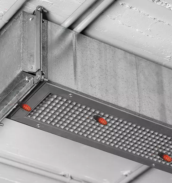 Affordable Insect Removal from Air Ducts in Fall River, MA