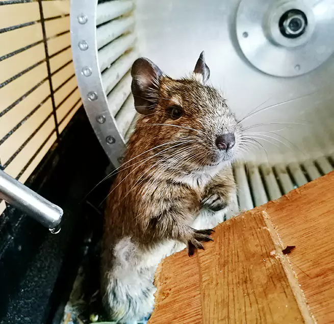 Why Homeowners & Businesses Trust Us Fall River, MA?